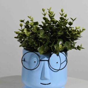 H5.5'' D6'' Face Planter with Glasses